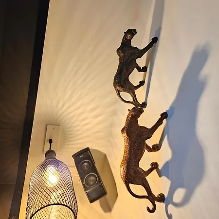 Naturist Cap In Loft * Agde